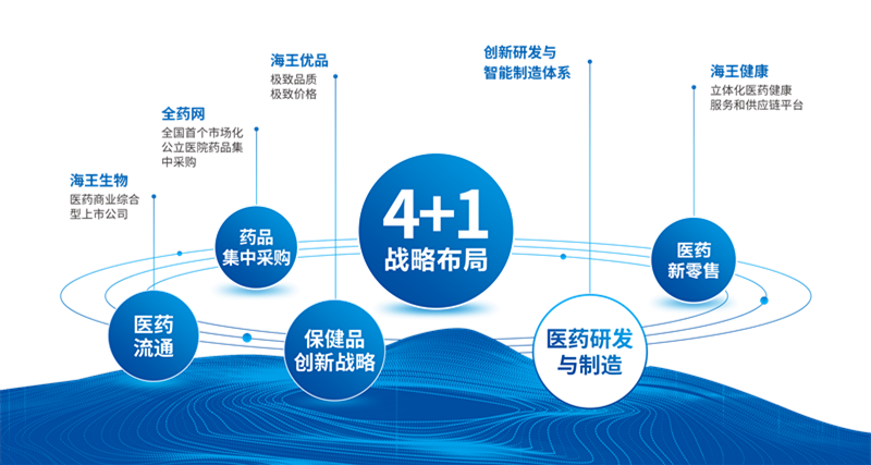 4+1 战略_副本.png 4+1 战略_副本.png
